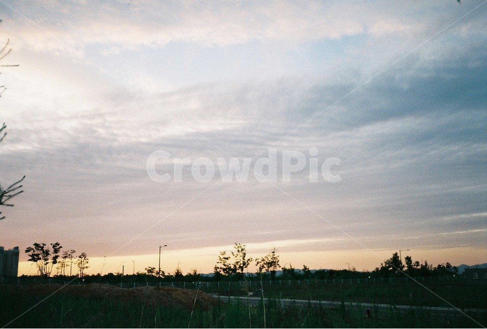 하늘,감성,노을,풍경,필름카메라,아날로그,구름,자연,자연,풍경,nature,landscape,outdoors,옥외
