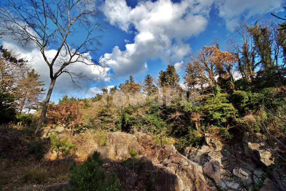 한천,계곡,오라올레,제주도,자연,절벽,자연,풍경,nature,landscape