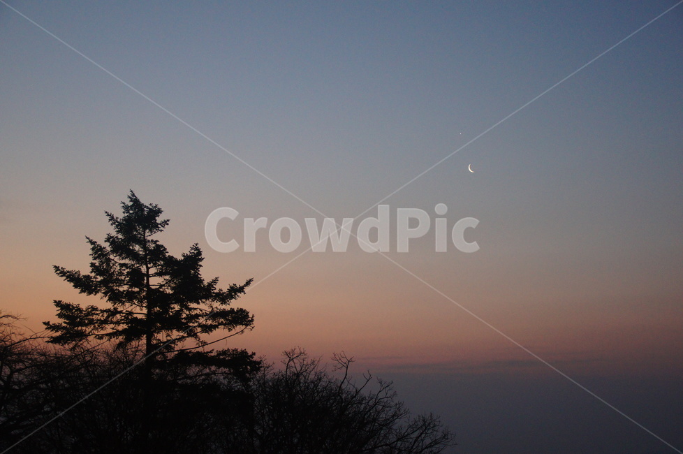 수종사,새벽별,수종사새벽,일출전,새벽남양주,자연,풍경,nature,landscape,야경,밤,nightscape,night,outdoors,옥외