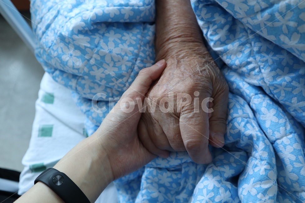 할머니,손녀,손,손잡음,손잡기,희망,사랑,요양병원,사람,인물,인간,신체일부,노인,병원,요양,간호,병간호,간병인,감성사진,의료,의학,병원,medical,hospital,clinic