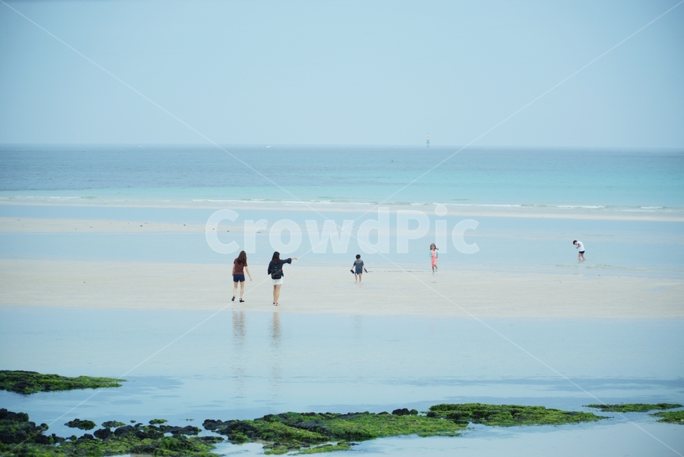 바다,제주도,가족,여행,해변,백사장,수평선,힐링,비치,jeju,beach,여름,summer,자연,풍경,nature,landscape,한국자연풍경,한국자연경관,korea nature landscape,해변,바다,beach,sea,제주도,jeju,jeju island,사람들,대중,군중,other people,crowd,여행,휴가,traveling,vacation,trip,person,사람,human,인간,land,땅,outdoors,옥외
