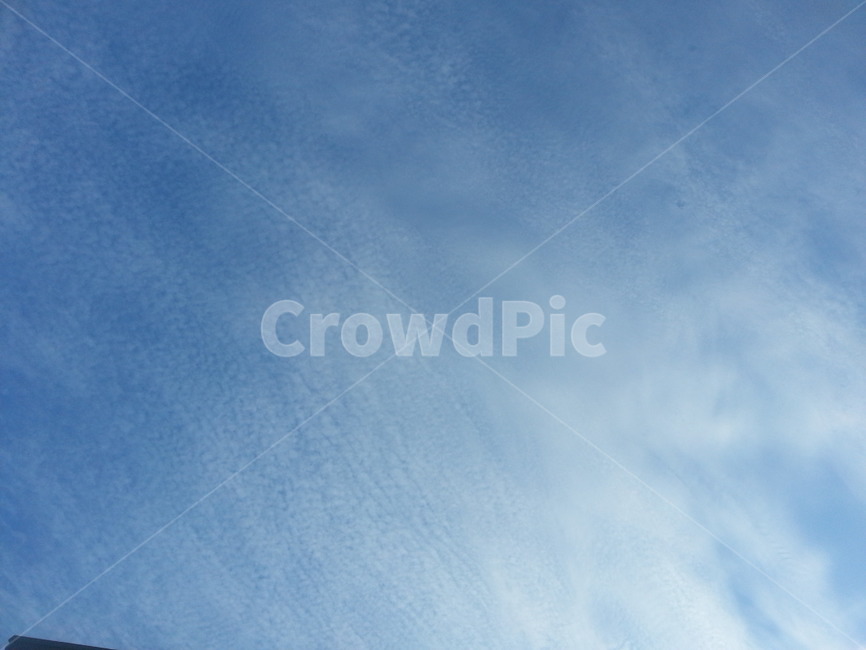 구름,하늘,파란하늘,특이한구름,뭉게구름,cloud,sky,special,bluesky,파란,하얀,날림구름
