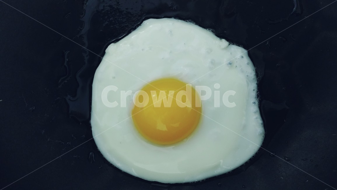 food,식품,egg,계란,달걀,음식,식재료,요리,food,cook,meal,dishes,food reserves