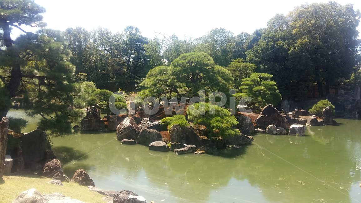 물,자연,옥외,정원,연못,nature,outdoors,water