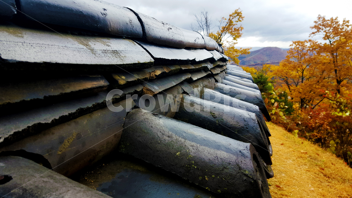 단풍놀이,기와,전통기와,가을,가을산,가을,계절,fall,autumn,season