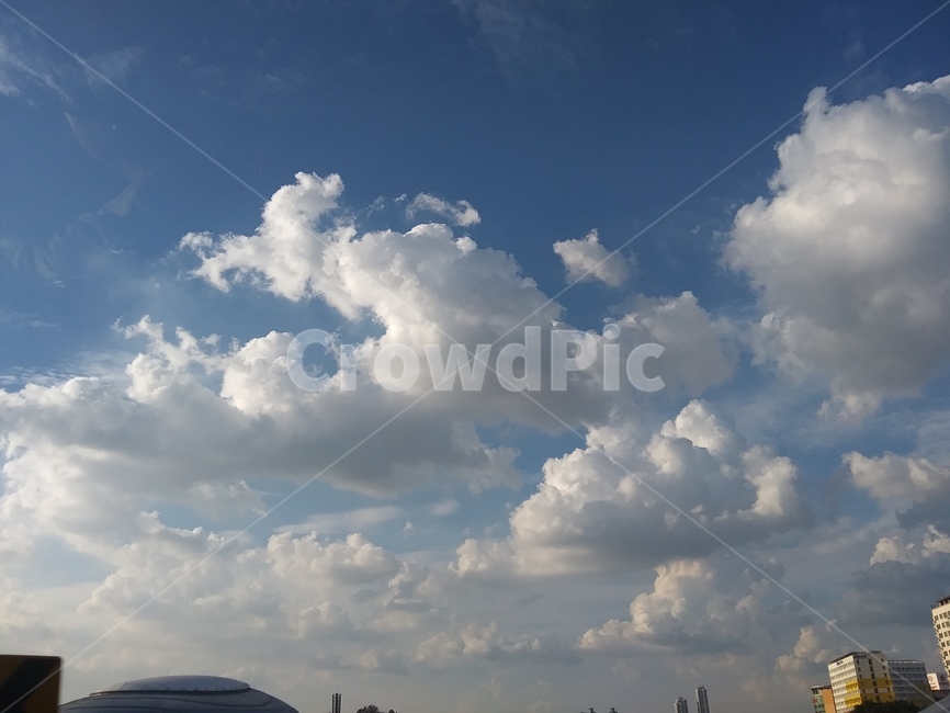 하늘,꽃,풍경,sky,자연,자연,풍경,nature,landscape