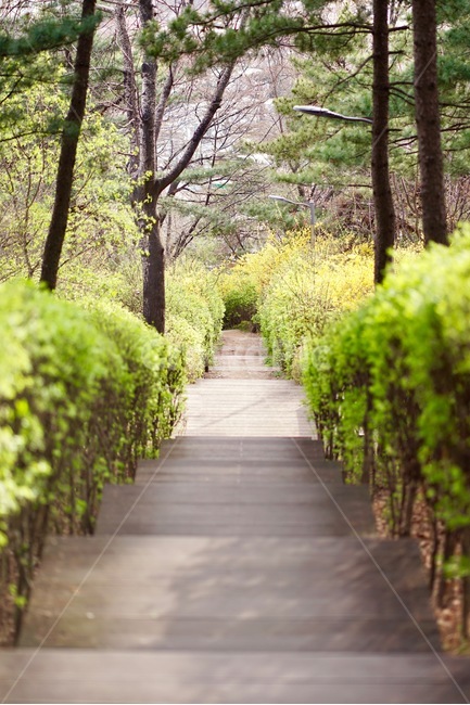 봄,골목,숲,나무,초록,자연,풍경,nature,landscape,garden,정원,outdoors,옥외,arbour,정자