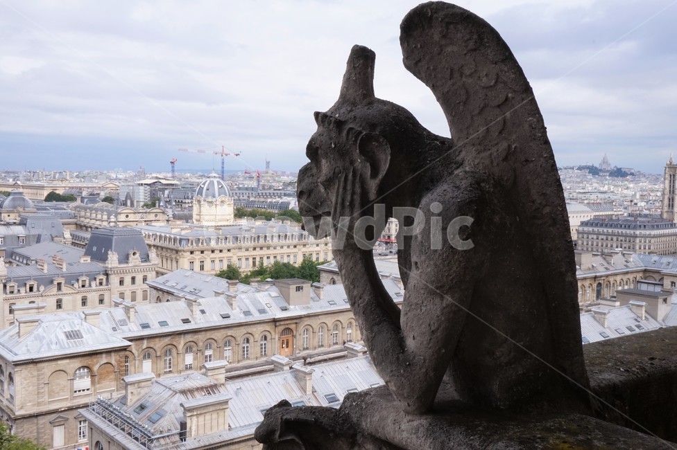 파리,노틀담대성당,가고일상,paris,notredame,gargoyles,생각,해외,외국,세계,foreign,oversea,world,조각상,동상,석상,조형물,statue,bronze statue,stone statue,건축물,건물외관,exterior,building,structure,architecture,construction