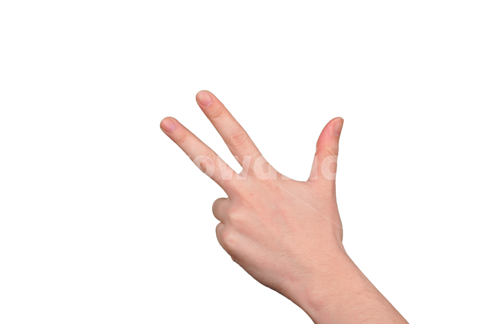 숫자,셋,3,손,손가락,표현,손동작,제스쳐,인간,손짓,사인,손목,사람,연출,표시,신체,신체일부,몸,body