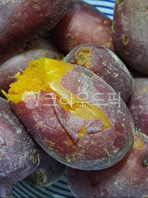chestnut sweet potato,sweet potato,potatoes,Honey sweet potato,Pumpkin Sweet Potato,nature,Steamed Sweet Potato,Shintobuli,skin,plate,bowl,boiled sweet potato,Emotion,sweet