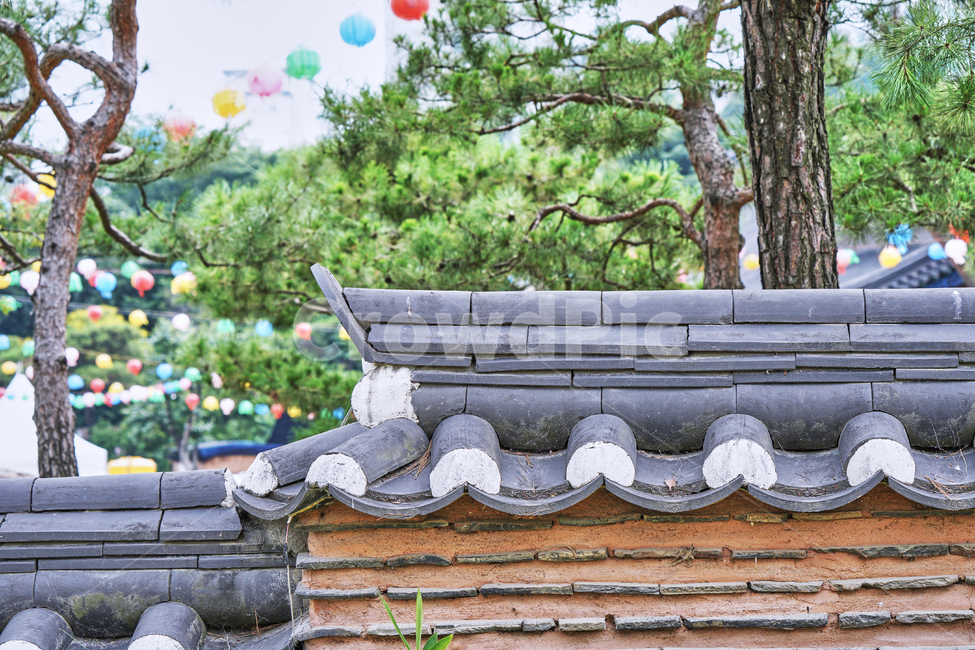 봉은사,전통,기와,절,사찰,불교,부처,자연,풍경,nature,landscape,한국전통,한국문화,korean traditional,korean culture,종교,신앙,religion,belief,faith,roof,지붕