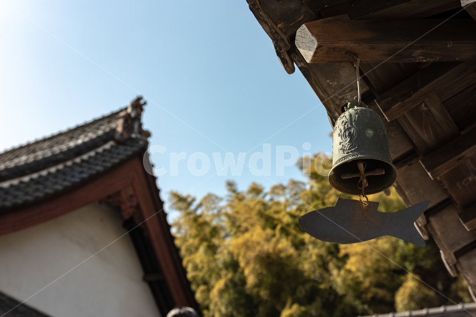 하늘,절,감성,숲,동양,고요함,종교,신앙,religion,belief,faith