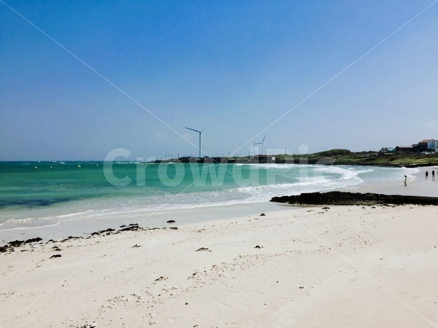 제주,제주도,월정리,해변,해수욕장,여름,자연,풍경,nature,landscape,여름,계절,summer,season,해변,바다,beach,sea,제주도,jeju,jeju island,water,물,shoreline,해안선,outdoors,옥외,ocean,대양