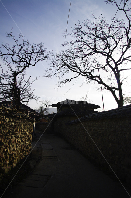 한옥,마을,돌담,길,돌담장,돌담길,담쟁이넝쿨,나무,골목길,alley,한국전통,한국문화,korean traditional,korean culture,건축물,건물외관,exterior,building,structure,architecture,construction