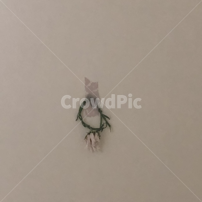 마스킹테이프,꽃반지,시든꽃,드라이플라워,flower,flowerring,dryflower