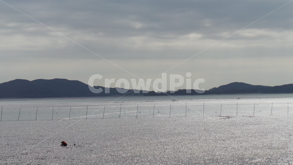 강화도,갯벌,바다,풍경,자연,뻘,sea,자연,풍경,nature,landscape,transportation,교통,vehicle,차량,watercraft,선박