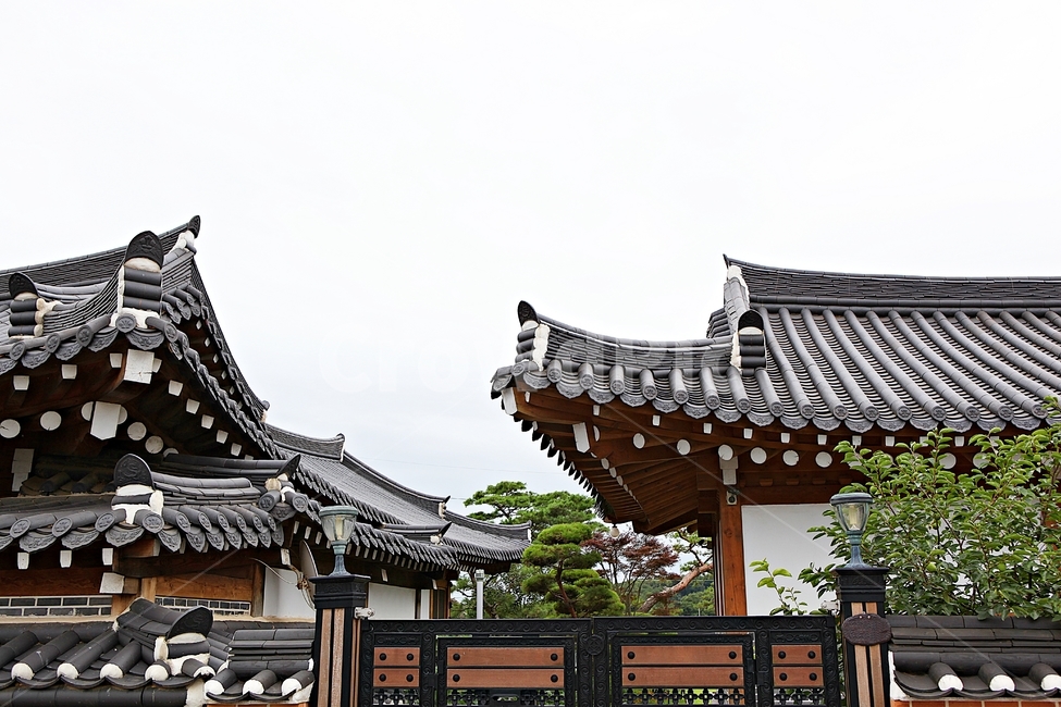 한옥,한옥집,전통집,기와집,집,풍경,기와