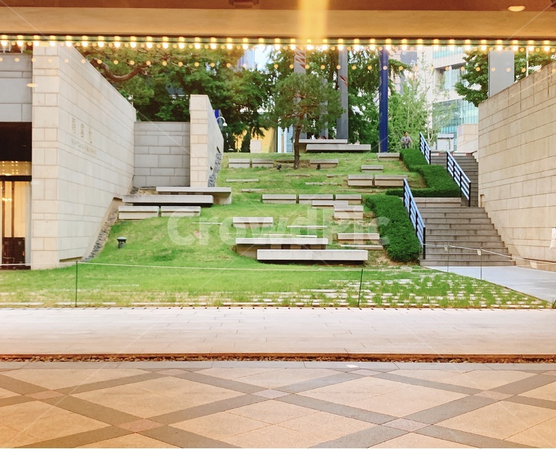patio,안마당,정원,화려한,잔디,계단,초록,노란,yellow,green