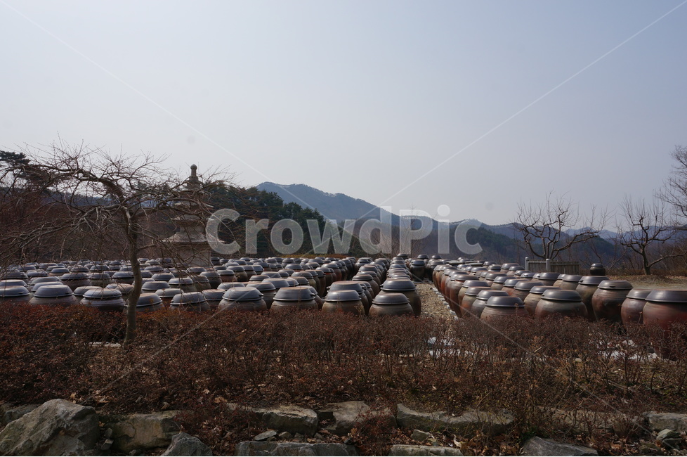 장독대,사찰,전통,된장,고추장,한국전통,한국문화,korean traditional,korean culture