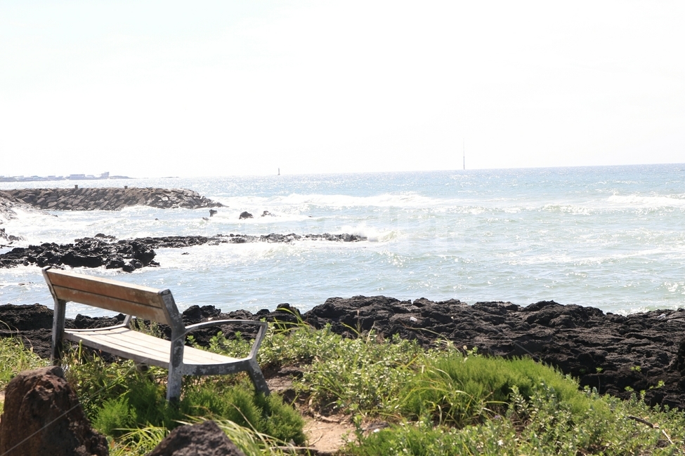 furniture,가구,bench,벤치,바다,sea,제주도,자연,풍경,nature,landscape