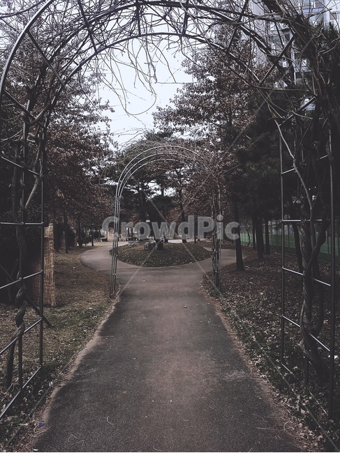 정원,나무,숲,어둠,풀,길,통로,울타리,하늘,자연,풍경,nature,landscape,asphalt,아스팔트