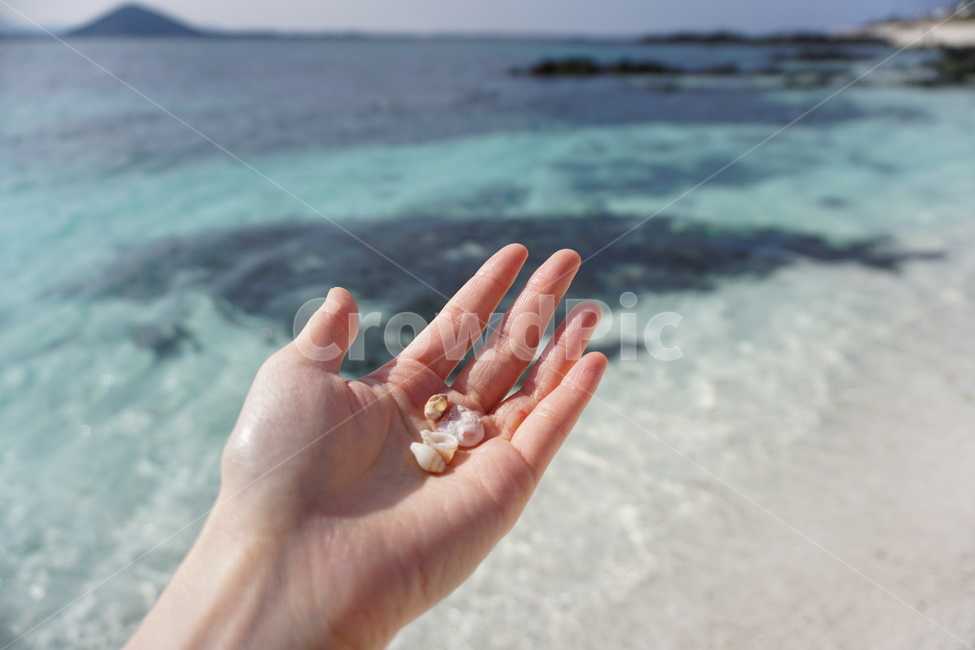 제주,우도,서빈백사,해수욕장,소라,조개껍데기,jeju,island,beach,seashell