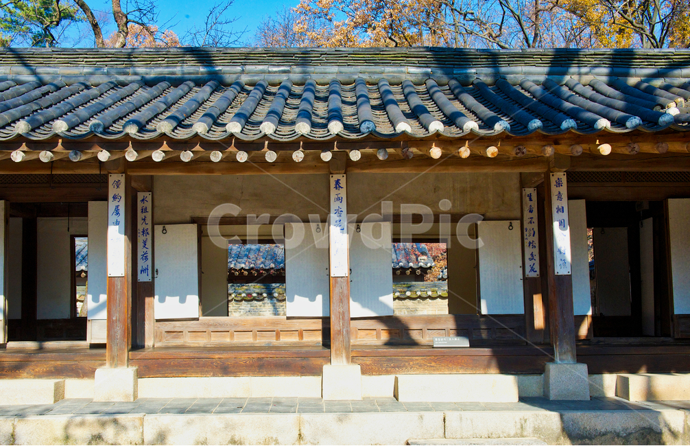 비원,기와,목조주택,사당,창덕궁,한국전통,한국문화,korean traditional,korean culture,건축물,건물외관,exterior,building,structure,architecture,construction