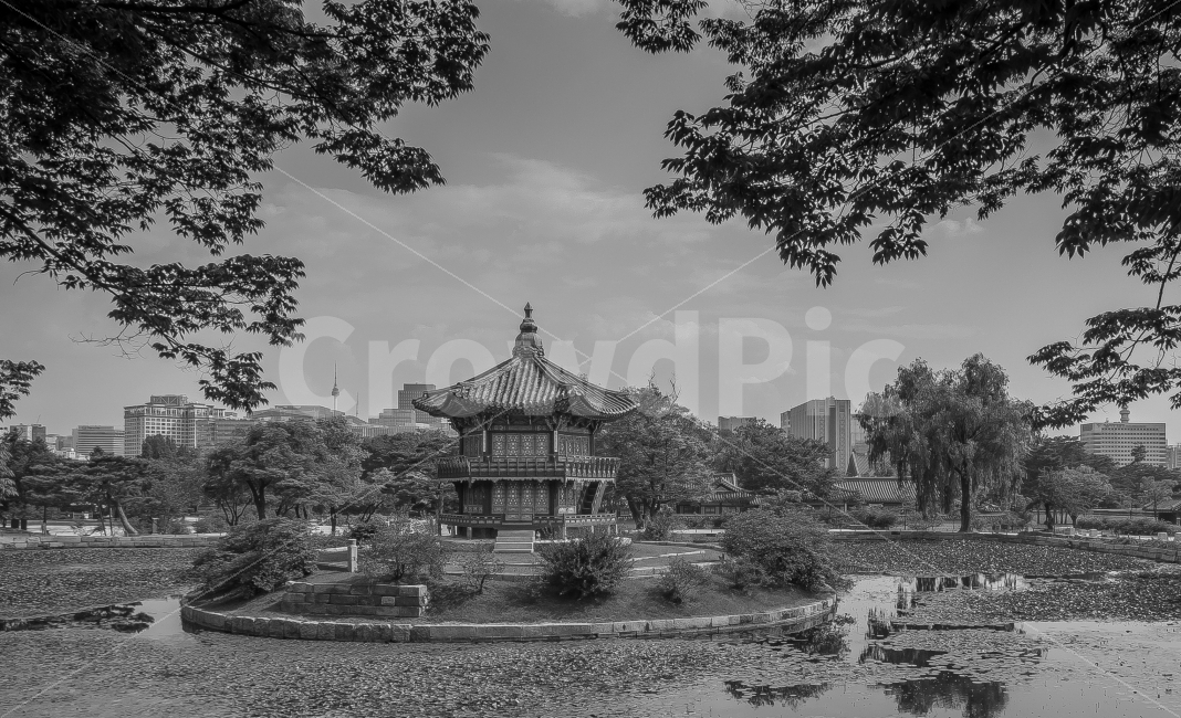 서울,경복궁,향원정,풍경,관광지,도시,풍경,city,landscape,한국전통,한국문화,korean traditional,korean culture,흑백,모노톤,monochrome,black and white