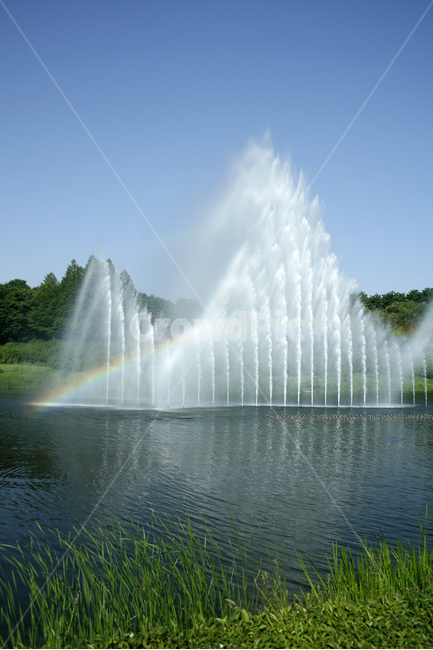 호수,여름,식물,물결,공원,분수,무지개,하늘,자연,풍경,nature,landscape,water,물,fountain