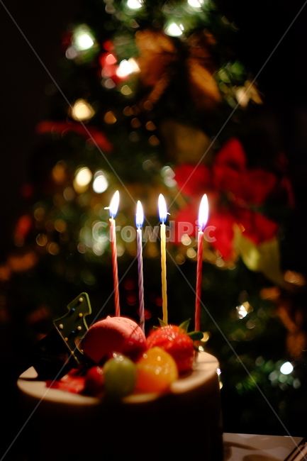 크리스마스,트리,케이크,촛불,파티,기념,불빛,겨울,계절,winter,season,축제,행사,festival,carnival,event,기념일,축하,anniversary,congratulation,celebrate,celebration,메리크리스마스,성탄절,merry christmas