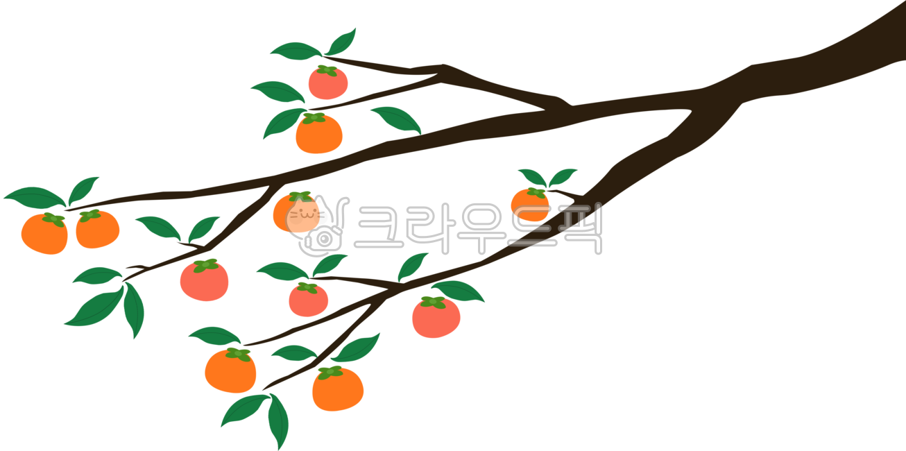 Chuseok illustration,fall image,red,leaves,holiday background,season,eggplant,New Years card,hand drawing,holiday food,tree,fall background,transparent background,Dakku,background,persimmon,plant,autumn,diary decoration,Korean tradition,occasion,tree bran
