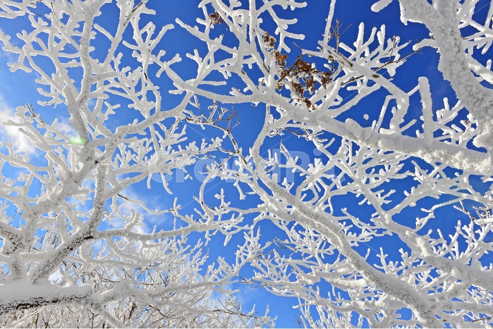 무주,덕유산,덕유산설경,상고대,겨울,설천봉,outdoors,옥외,nature,자연,ice,빙,snow,눈