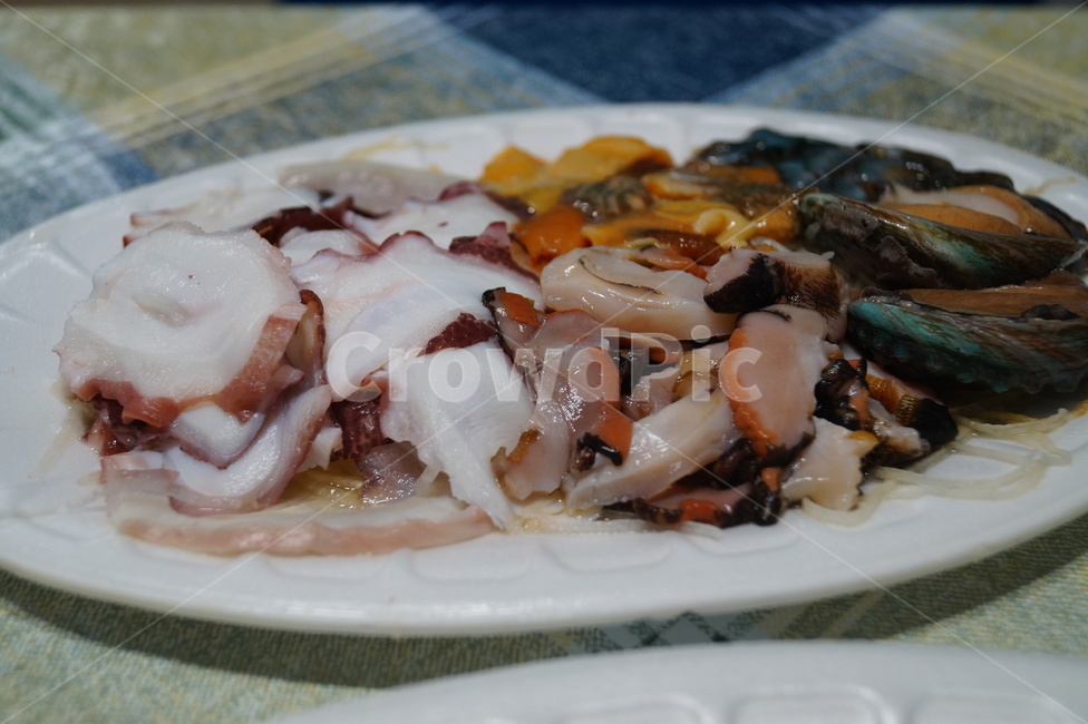 소라,요리,dish,platter,플래터,meal,식사,food,음식,문어회,음식,식재료,요리,food,cook,meal,dishes,food reserves