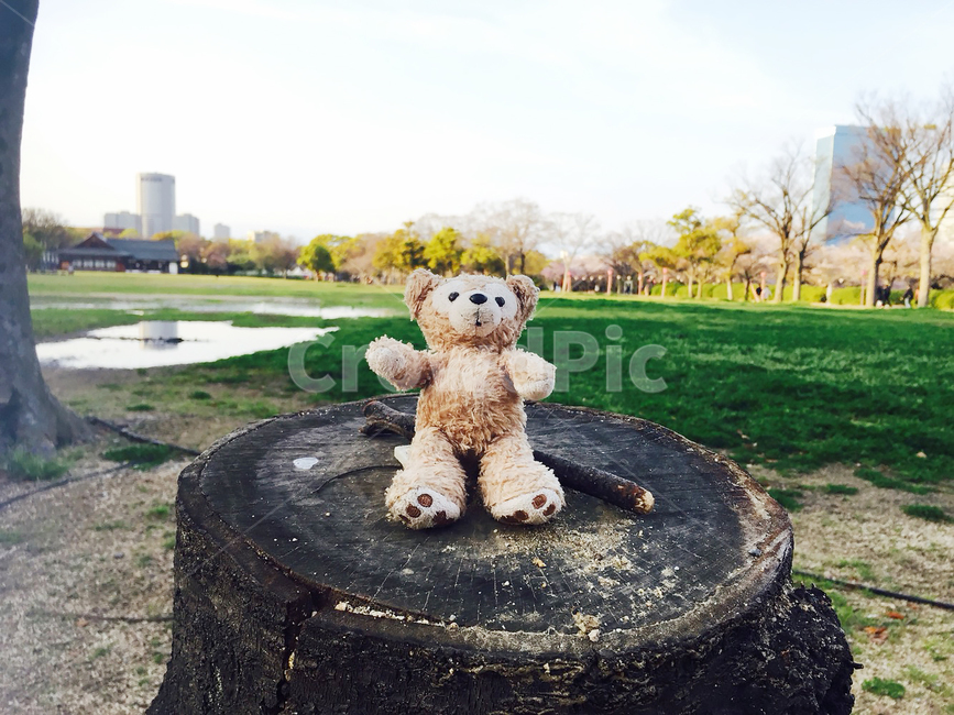 곰인형,인형,감성,힐링,귀여운,한가한,즐거운,반가운,공원