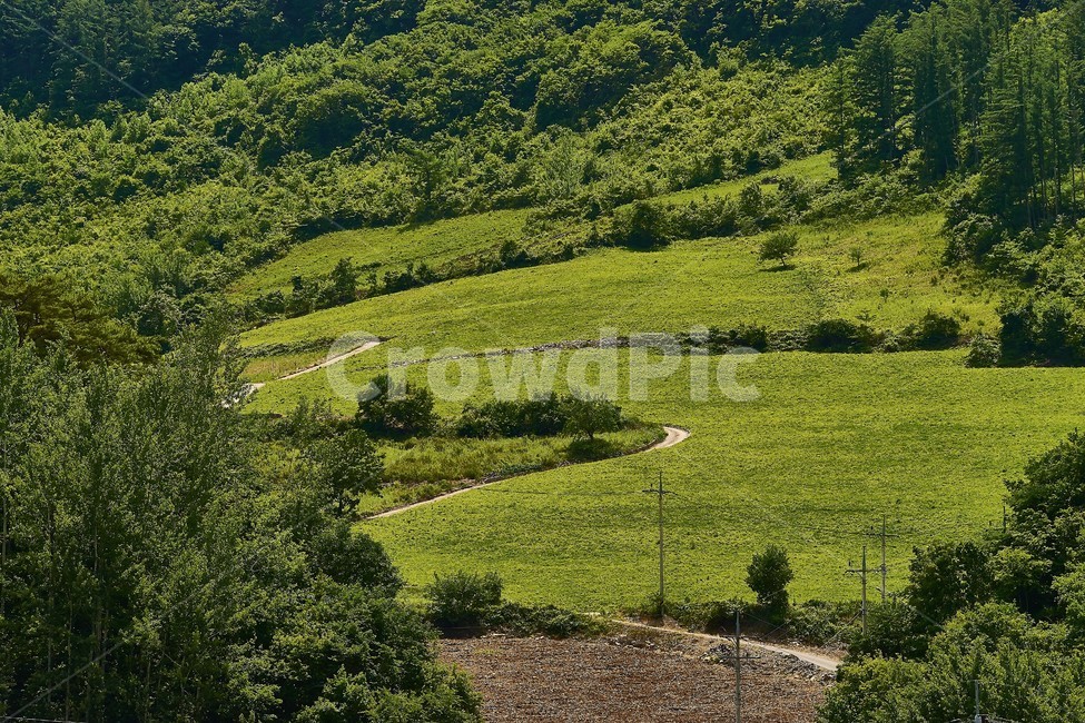 도로,road,흙길,강원도,남면