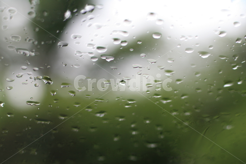 droplet,작은물방울,물방울,비,창문,맺힌물방웅