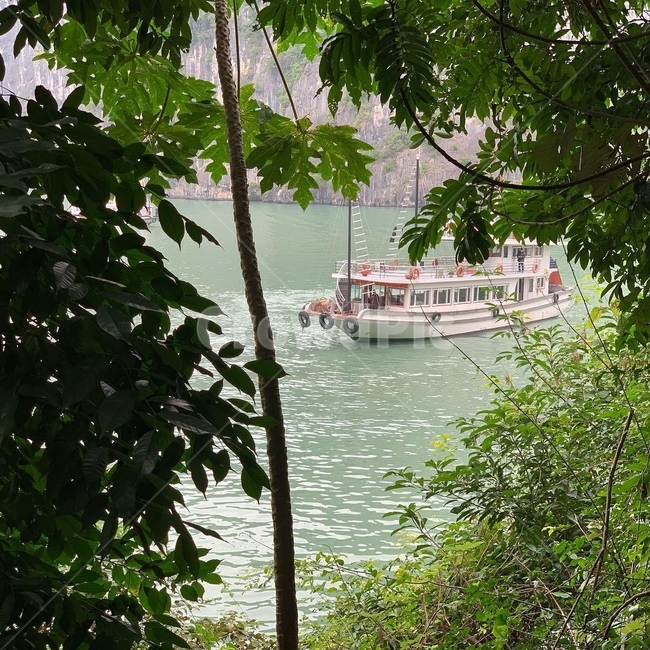 베트남,하롱베이,배,풍경,자연,교통,교통수단,traffic,transportation