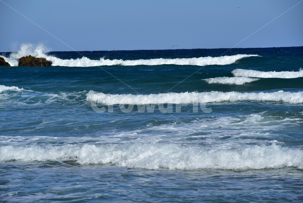 바다,바닷가,파도,바위,거품,풍경,해변,beach,sea,nature,자연,하얀