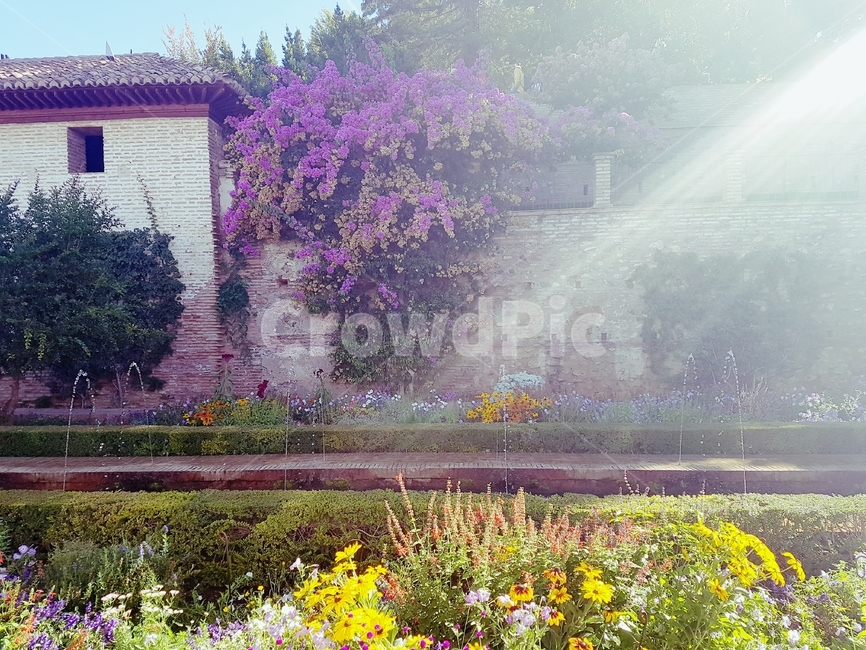 정원,알함브라궁전,garden,alhambra,햇살,sunshine