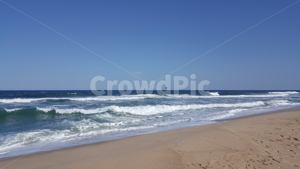 바다,파도,모래사장,푸름,하늘,갈매기,해수욕장,부산,해변,바다,beach,sea
