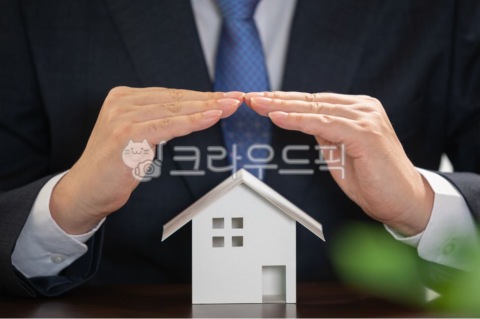 insurance,agent,data,charter,invest,office job,office,professional,Mortgage,property,model,brokerage,contract,economy,business man,job,real estate agent,male,loan,Accounting,advice,concept,rectal,guarantee,house,mortgage,housing mortgage,man,protect,relie