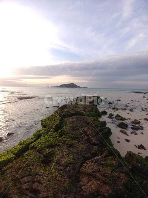 자연,바다,힐링,하늘,제주도,자연,풍경,nature,landscape,plant,식물,algae,조류