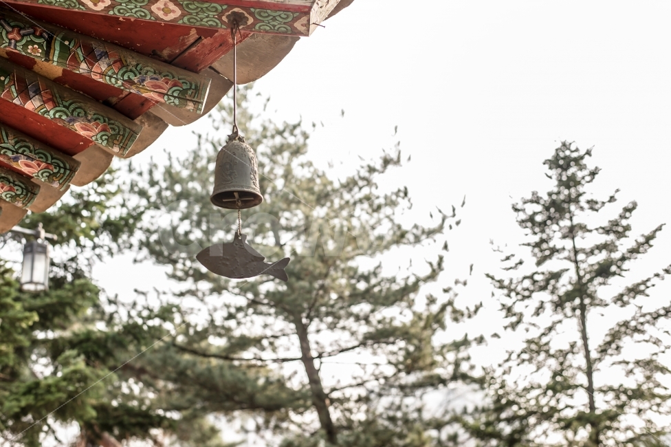 봉은사,절,사찰,풍경,한국,종,여행,단청,삼성역,강남구,한국전통,한국문화,korean traditional,korean culture,종교,신앙,religion,belief,faith