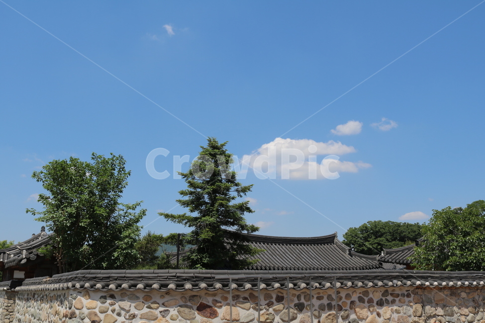 교촌마을,한옥,하늘,관광지,경주,나무,구름,돌담,한국전통,한국문화,korean traditional,korean culture,건축물,건물외관,exterior,building,structure,architecture,construction