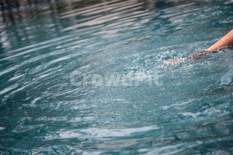 수영장,물,수면,물결,하늘,여름,계절,summer,season,사람,인물,인간,human,person,신체일부,몸,body,water,swimming,수영,sport,스포츠,sports,outdoors,옥외