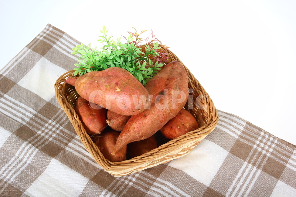 고구마,군구고마,구황작물,음식,식품,간식,호박고구마,밤고구마,달콤,sweetpotatoes,gourd,gourdcrop,food,snacks,sweet,음식,식재료,요리,food,cook,meal,dishes,food reserves,연출,컨셉,콘셉,direction,concept