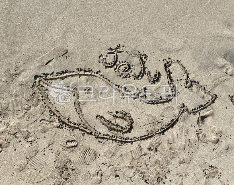 제주,고래,모래,배경,그림