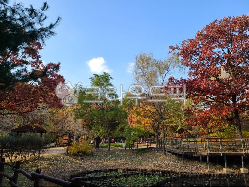 가을,단풍,자연,평화로운풍경,가을풍경,나무,공원,tree,nature,outdoors,park,path,오솔길