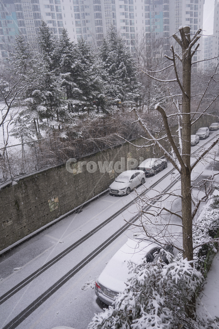 눈,겨울,눈오는날,snow,아파트단지,겨울,계절,winter,season,도시,풍경,city,landscape,한국도시풍경,한국도시경관,korea cityscape,nature,자연,blizzard,눈보라,outdoors,옥외,storm,폭풍,car,차,vehicle,차량,transportation,교통,automobile,자동차
