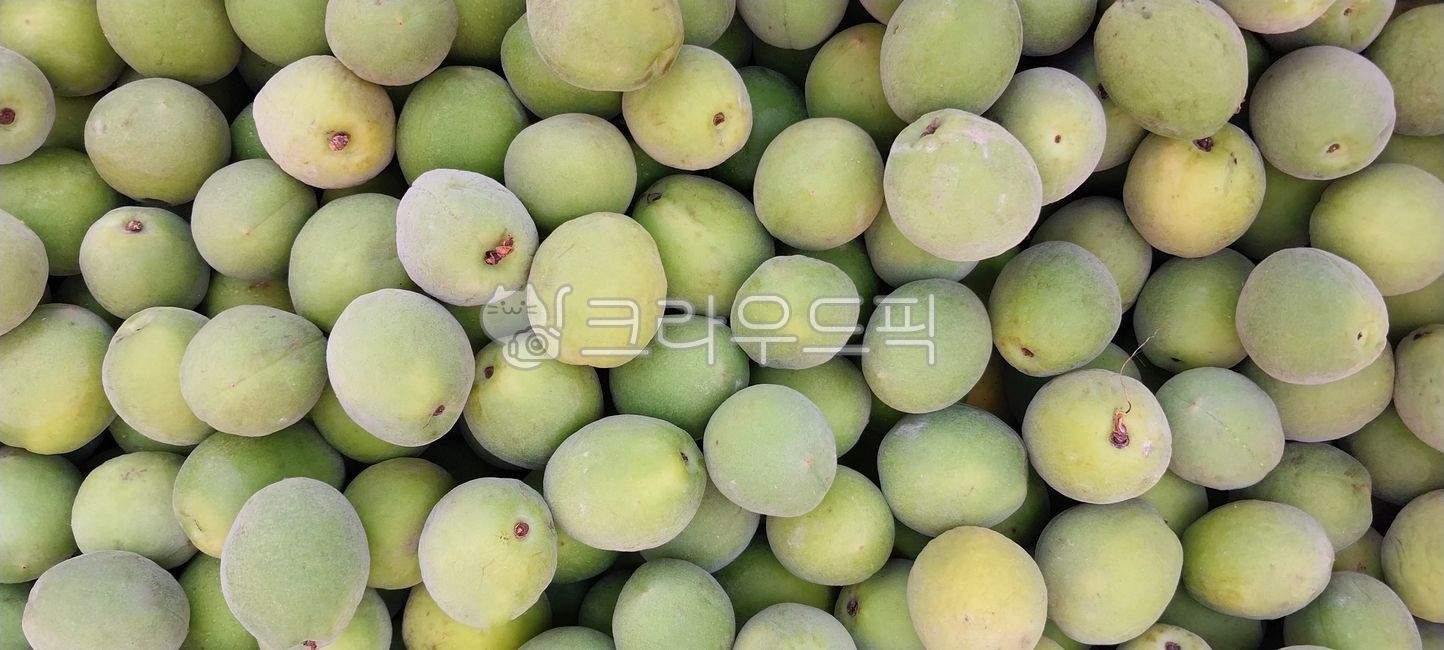 plum,wallpaper,JapaneseApricot,plum fruit,plum tree,ChinesePlum,food